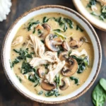 Comforting Rotisserie Chicken and Mushroom Soup