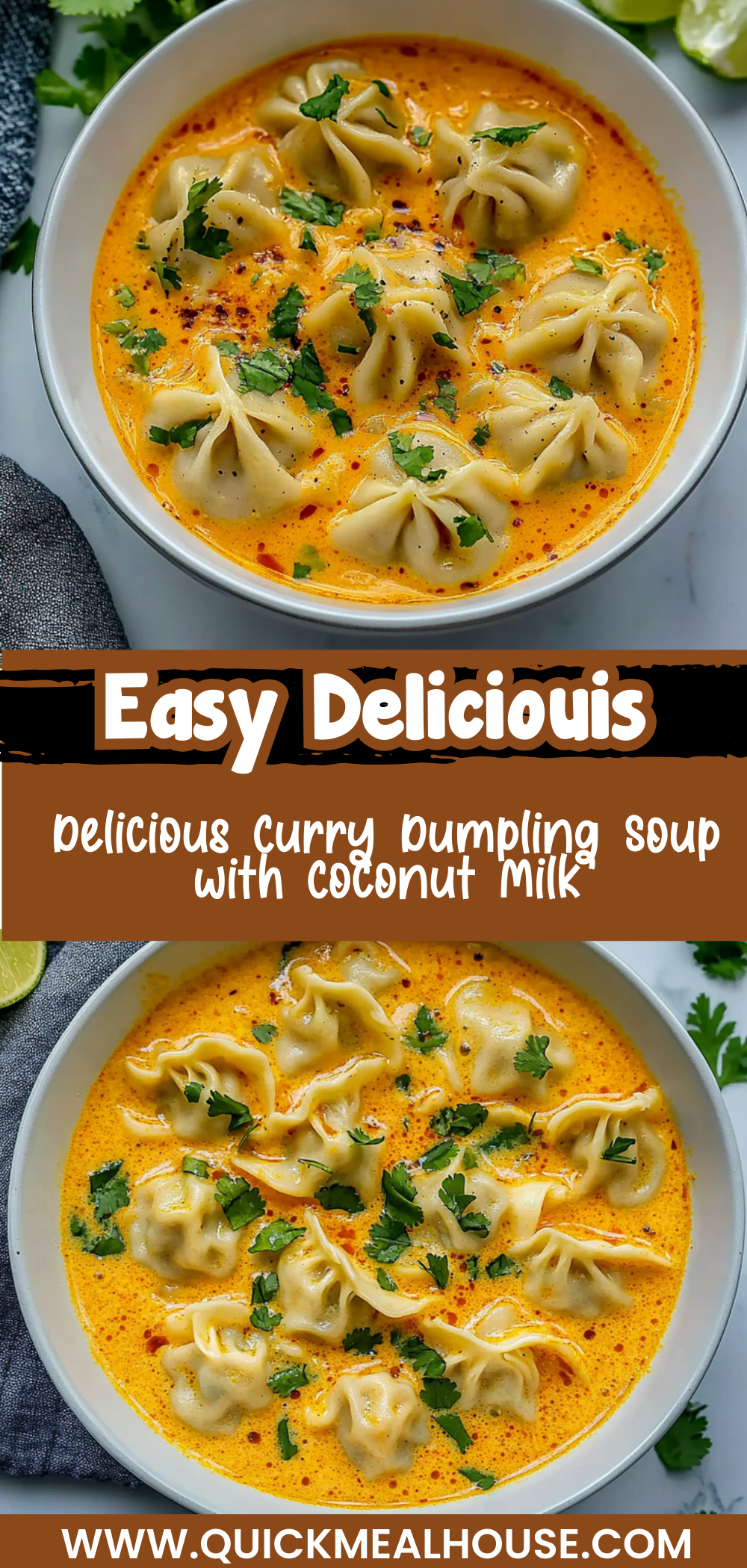Delicious Curry Dumpling Soup