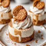 No Bake Mini Biscoff Cheesecakes
