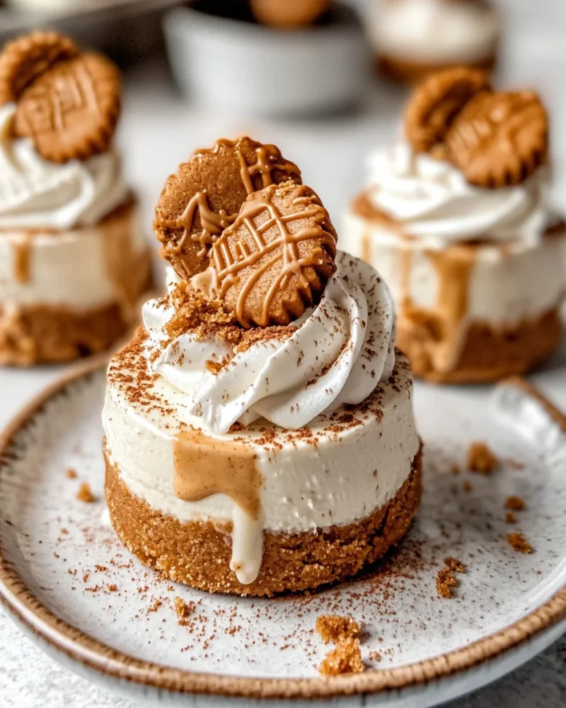 No Bake Mini Biscoff Cheesecakes